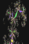 El &Aacute;rbol psicod&eacute;lico/The Psychedelic Tree
